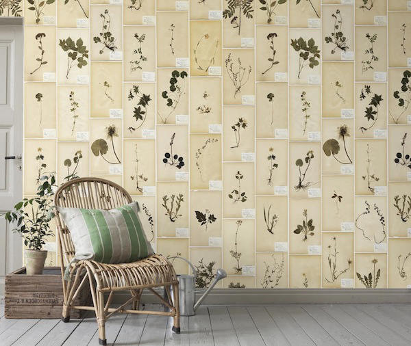 pared decorada con el papel pintado garden party