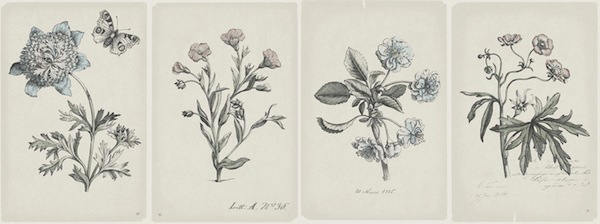 papel-pintado-flores-jardin-azul-3
