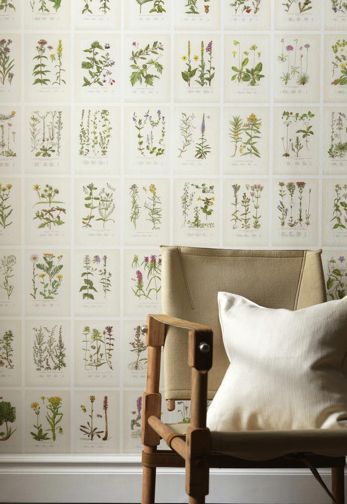 papeles pintados botanica en la pared